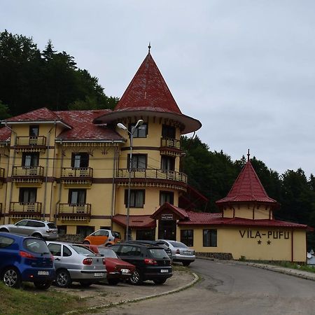 Vila Pufu Слэник-Молдова Экстерьер фото